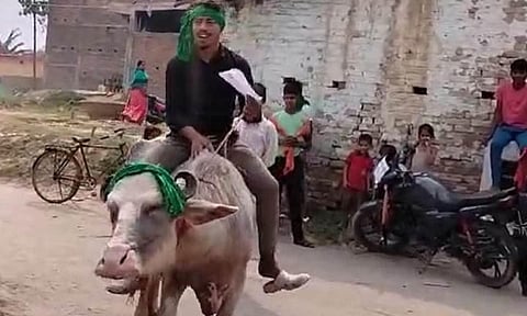 வாக்களிக்க எருமை மீது வந்த பிஹார் இளைஞர்!