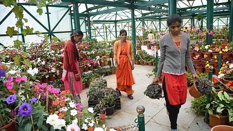 உதகை தாவரவியல் பூங்காவுக்கான நுழைவுக் கட்டணம் ரூ.125 ஆக குறைப்பு