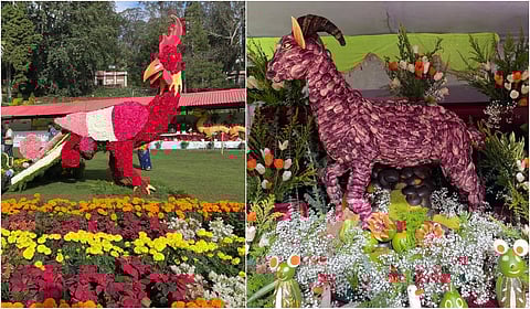 மலர் கண்காட்சி