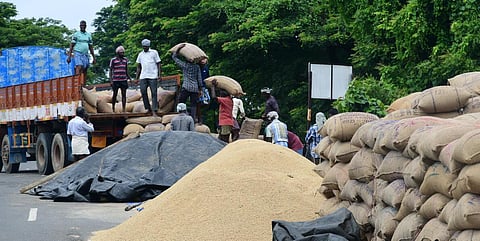 தமிழகத்தில் நெல் கொள்முதல் அளவு குறைந்தது ஏன்? - அரசு ஆராய அன்புமணி வலியுறுத்தல்