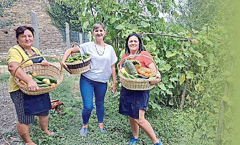 வணிகவழி வேளாண் சுற்றுலா 8: வேளாண் வணிகமாக வேளாண் சுற்றுலா