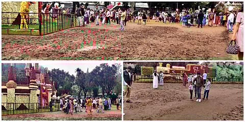 உதகை தாவரவியல் பூங்கா வளாகத்தில் சேறும், சகதியுமாக காணப்படும் புல்தரை