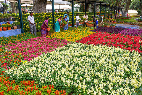 படங்கள்: எஸ்.குரு பிரசாத்