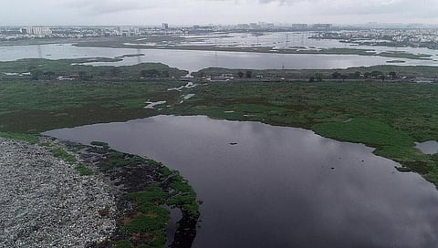 பள்ளிக்கரணை சதுப்பு நிலத்தை வனத்துறையிடம் வழங்க மறுக்கும் மாநகராட்சி: பசுமை தீர்ப்பாயத்தில் அறிக்கை தாக்கல்