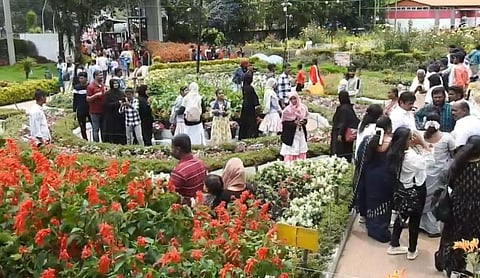 கொடைக்கானல் பிரையண்ட் பூங்காவில் பூத்துக் குலுங்கும் மலர்களை கண்டு ரசித்த சுற்றுலா பயணிகள்.