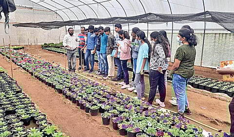 வணிகவழி வேளாண் சுற்றுலா 9: தமிழ்நாட்டில் வேளாண் சுற்றுலா