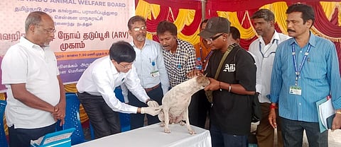 தமிழ்நாடு விலங்குகள் நல வாரியம் சார்பில் மெரினா கடற்கரையில்  இன்று நடைபெற்ற செல்லப் பிராணிகளுக்கான தடுப்பூசி முகாமில் மாநகராட்சி ஆணையர் ஜெ.ராதாகிருஷ்ணன் பங்கேற்று, நாய்களுக்கு வெறிநோய் தடுப்பூசி செலுத்தினார். 