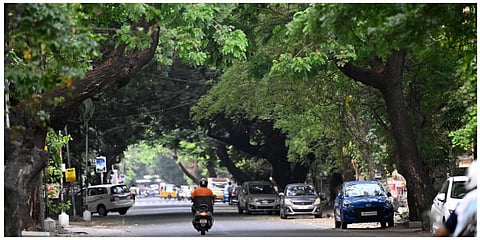 கோப்புப்படம்