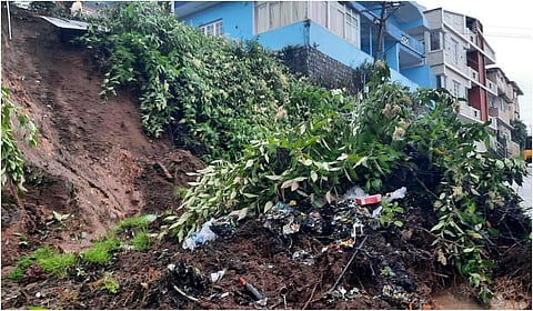 நீலகிரியில் கனமழை