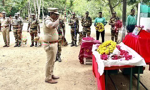 படங்கள்: எம்.முத்துகணேஷ்