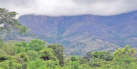 செண்பகத் தோப்புக்குள் செல்ல கட்டணம் வசூலிக்க கடும் எதிர்ப்பு