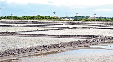 பருவநிலை சாதகமாக அமையாததால் தூத்துக்குடி பகுதியில் உப்பு உற்பத்தியாகாமல் உள்ள உப்பளங்கள். படம்: என்.ராஜேஷ்.