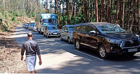 ஊட்டி | கோப்புப் படம்