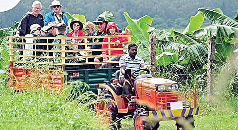 வணிக வழி வேளாண் சுற்றுலா - 14: திருவிழாக்களை ஒன்றிணைக்கும் வேளாண் சுற்றுலா