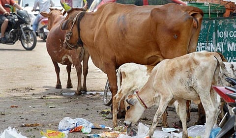 கோப்புப் படம்