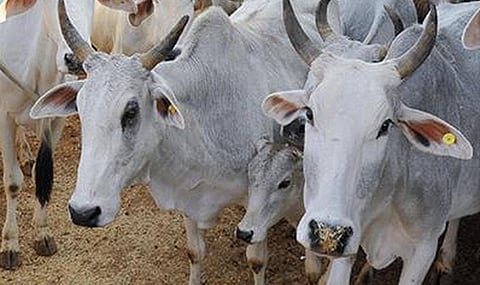 கோப்புப் படம்