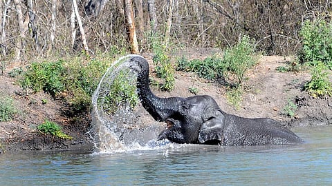 பிரதிநிதித்துவப் படம்