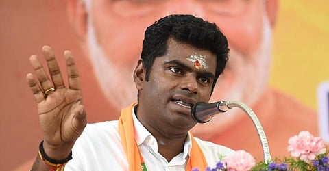 அண்ணாமலை | கோப்புப் படம்