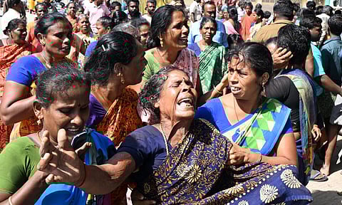 படங்கள்: எல். பாலச்சந்தர்.