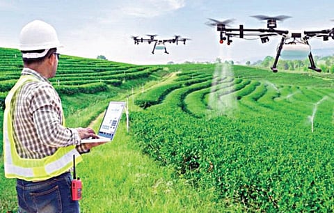 டிஜிட்டல் மயமாகும் வேளாண் துறை