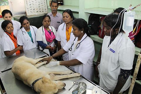 கோப்புப் படம்