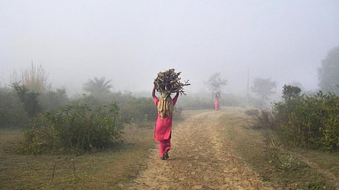 உ.பி, பிஹார் தொழிலாளர்கள் அடையாளங்கள் சரிபார்ப்பு: பஞ்சாப் கிராமங்களின் புதிய உத்தரவு