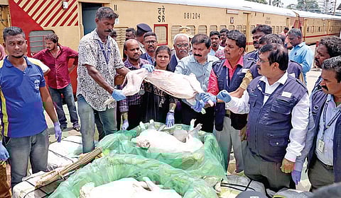 ஜெய்ப்பூரில் இருந்து சட்டவிரோதமாக சென்னைக்கு ரயிலில் கொண்டுவரப்பட்ட 1,700 கிலோ கெட்டுப் போன ஆட்டு இறைச்சியை, சென்னை எழும்பூர் ரயில் நிலையத்தில் உணவு பாதுகாப்புத் துறை அதிகாரிகள் நேற்று பறிமுதல் செய்தனர். அதன் மாதிரிகளை சேகரித்து பரிசோதனைக்காக அனுப்பி வைத்தனர். | படம்: ம.பிரபு |