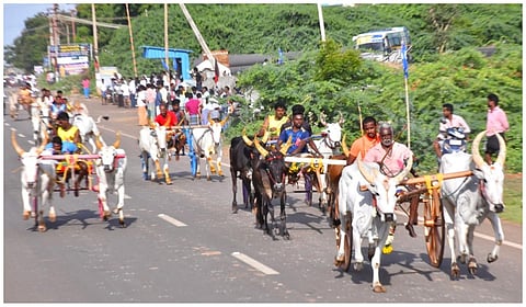 குதிரை வண்டி பந்தயம்