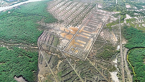 முத்துப்பேட்டை அலையாத்தி காட்டில் ‘தமிழ் வாழ்க’ வடிவத்தில் வாய்க்கால் அமைப்பு: சமூக ஆர்வலர்கள் வரவேற்பு