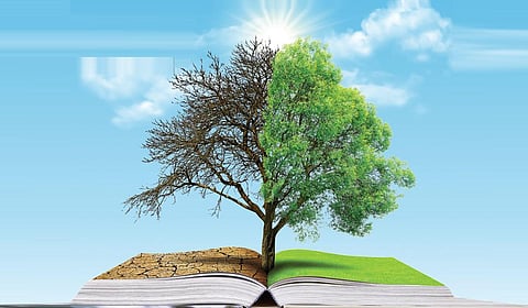 கூடு திரும்புதல் - 16: காலநிலை இலக்கியங்கள்