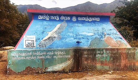 பறவைகளின் வானமாக இருப்போமா?