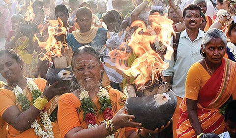 ஆவணியின் சிறப்பு: ஆவணி அழகன்