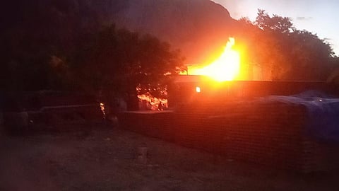 திருப்பரங்குன்றம் அருகே மர குடோனில் பயங்கர தீவிபத்து: பல லட்ச ரூபாய் மதிப்பிலான மரங்கள் எரிந்து சேதம்