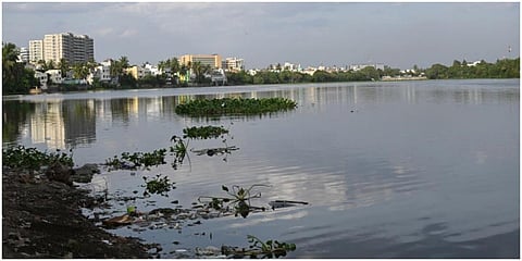 வேளச்சேரி ஏரி | கோப்புப்படம்