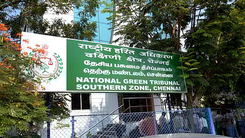 வேளச்சேரி பகுதியில் வெள்ள பாதிப்பை தடுக்க பள்ளிக்கரணை ஏரியை தூர் வார பசுமை தீர்ப்பாயம் உத்தரவு