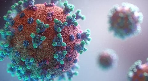 27 நாடுகளில் பரவும் புதிய எக்ஸ்இசி வகை கரோனா