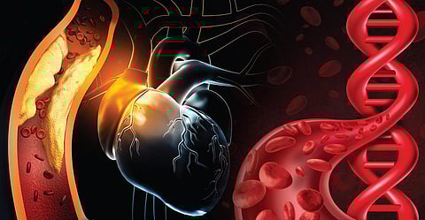 கவனம், இது விரிந்த இதயம் | இதயம் போற்று 01