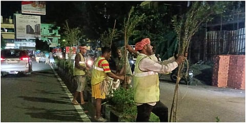 சென்னை மாநகர சாலை தடுப்புகளில் நடப்பட்டு வரும் மலர்ச்செடிகள்.