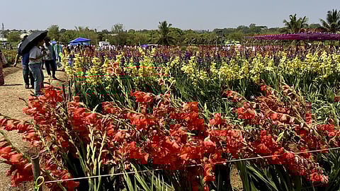 பெங்களூருவில் நாளை இந்திய உயிர் சக்தி வேளாண் மாநாடு தொடக்கம்