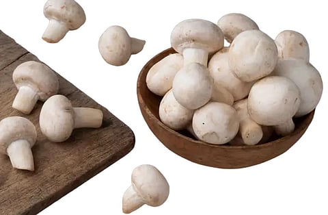 காளான் அசைவமா? | டிங்குவிடம் கேளுங்கள்