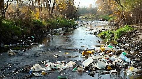 குமரி மாவட்டம் கேரள எல்லை பகுதியில் உள்ள களியலில் உள்ள நீர்நிலைகளில் கொட்டப்பட்டுள்ள மருத்துவ கழிவுகள்.