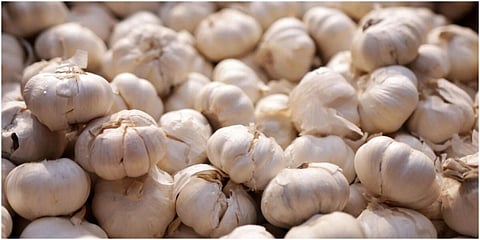 தமிழகத்தில் உயரும் பூண்டு விலை: கோயம்பேடு சந்தையில் கிலோ ரூ.380-க்கு விற்பனை