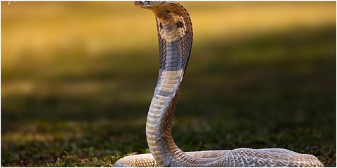 கோப்புப்படம்