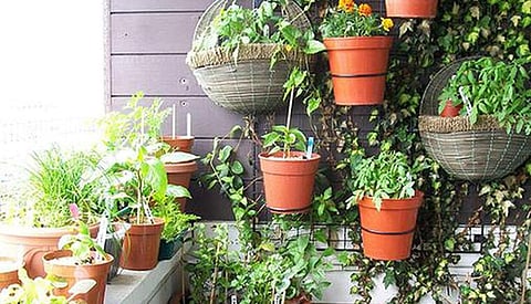 பிரதிநிதித்துவப் படம்