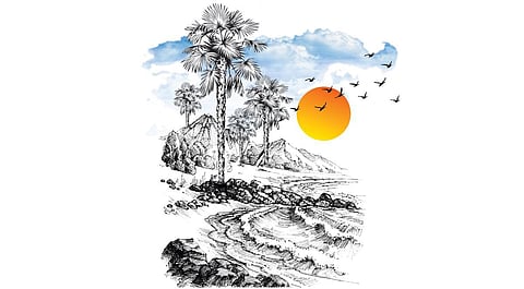 கடற்கரையும் பனை மரப் பிணைப்பும் | கூடு திரும்புதல் - 23