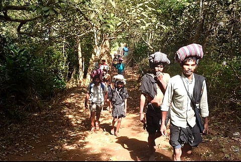 புல்மேடு வனப்பாதை வழியாக சபரிமலைக்கு நடந்து சென்ற ஐயப்ப பக்தர்கள். | படம்: என்.கணேஷ்ராஜ்.