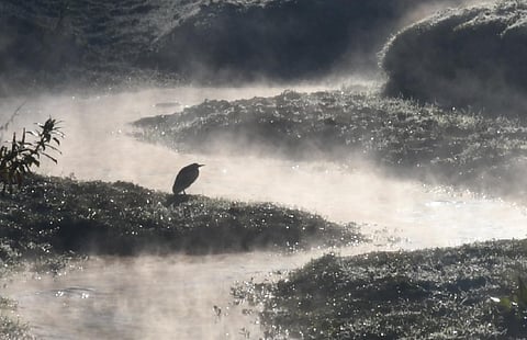கோப்புப்படம்
