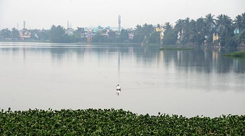 சென்னை வேளச்சேரி ஏரி பகுதியில் 955 வீடுகளை அகற்ற கணக்கெடுக்கும் பணி தீவிரம்: பெண்கள் சாலையில் அமர்ந்து போராட்டம்