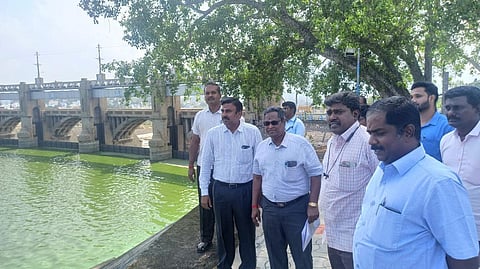 மேட்டூர் அணை நீர்மட்டம் 115 அடியை கடந்தது: நீர்வளத்துறை மண்டல தலைமை பொறியாளர் ஆய்வு