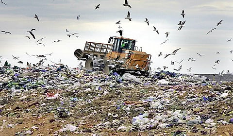 ஞெகிழி ஒழிப்பு: உடன்படாத உலக நாடுகள்